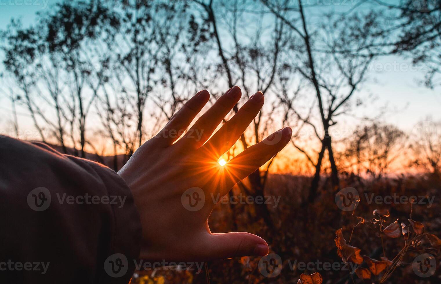 The rays of the sun break through the fingers of a woman's hand. A feeling of coziness, calm, happiness, freedom and relaxation. An escape from the hustle and bustle. photo