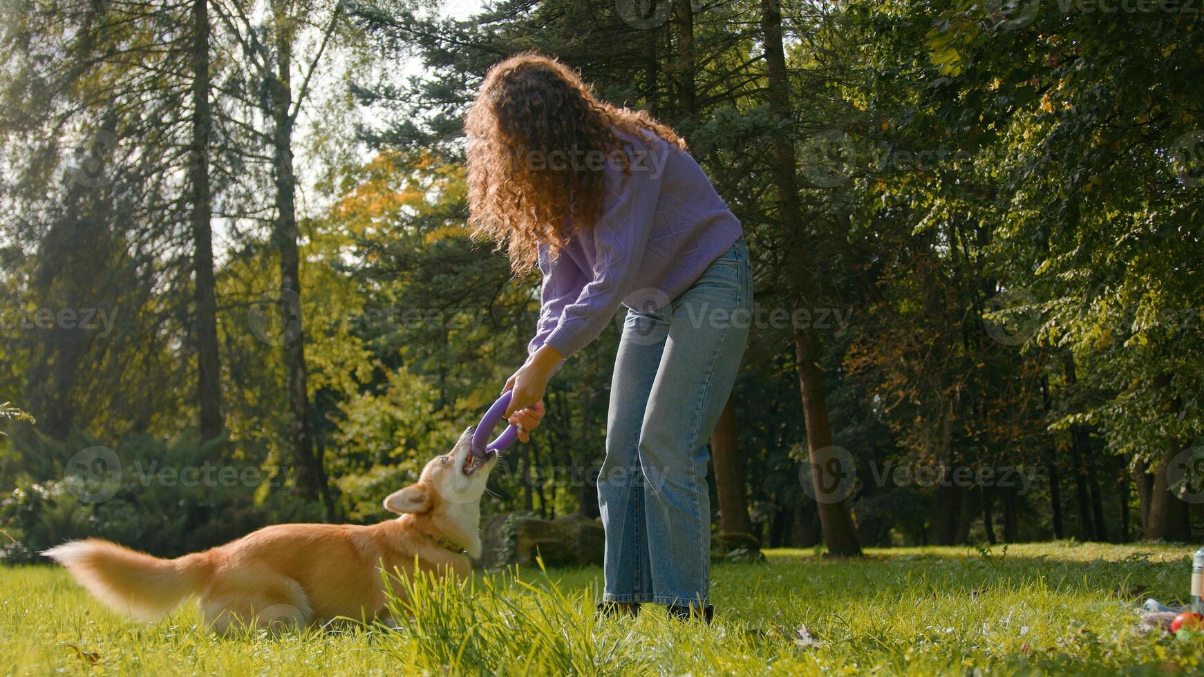 Playful dog welsh corgi playing with girl Caucasian female handler cynologist training fluffy golden puppy with rubber ring toy on grass nature park woman animal trainer exercising pet in city outdoor photo