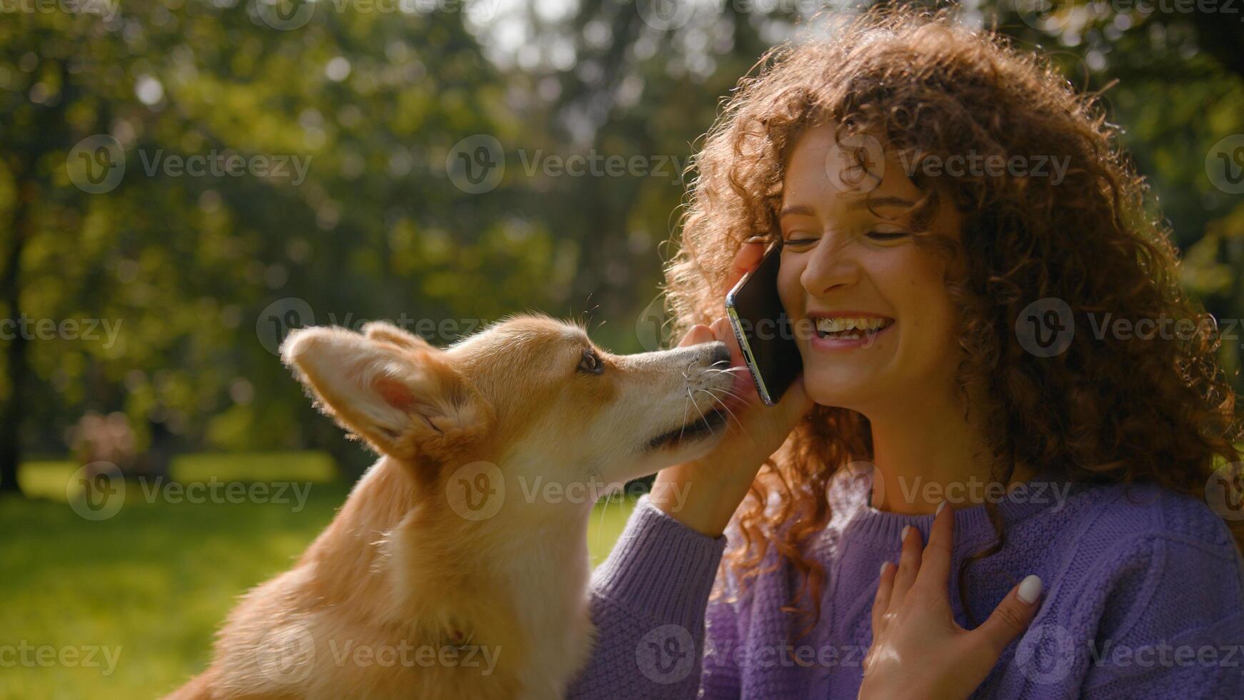 Funny playful dog corgi little puppy playing licking girl pet owner smiling Caucasian young genz 20s happy woman talking mobile phone laughing in city nature park outdoors weekend with domestic animal photo