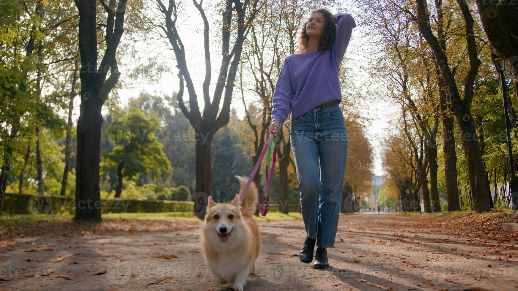 Caucasian young woman girl female pet owner handler stride with dog puppy on leash walking in city happy little cute doggy welsh corgi run street in autumn park walk outdoors everyday pets grooming photo