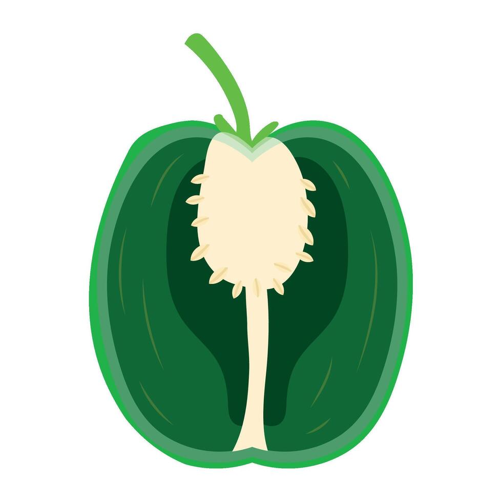 Green pepper with white stem and green leaves vector