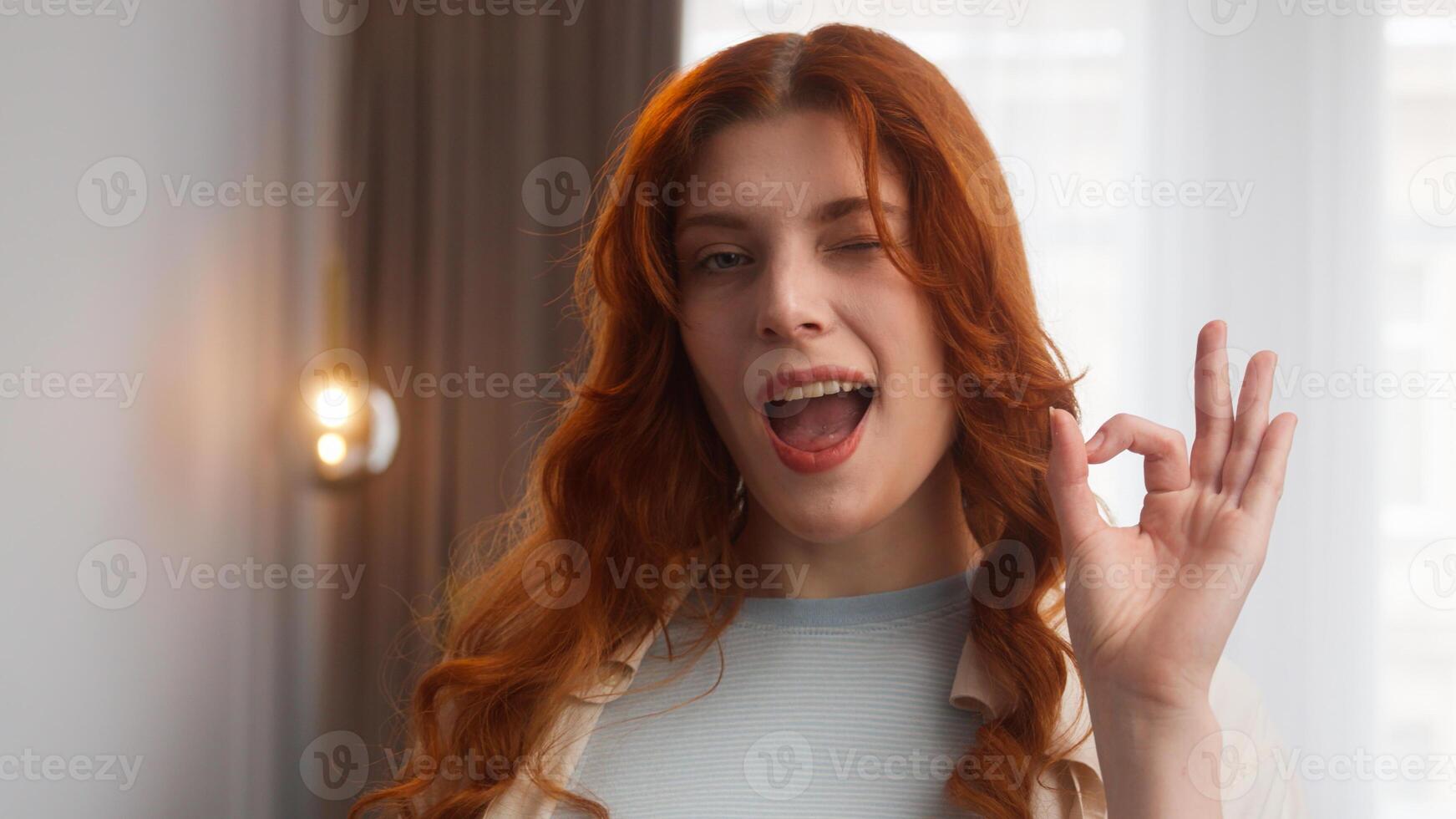 Playful Caucasian woman lady model looking at camera toothy smile pleased female demonstrate okay gesture with hand at home ginger positive girl wink fine ok gesture approval agreement recommendation photo