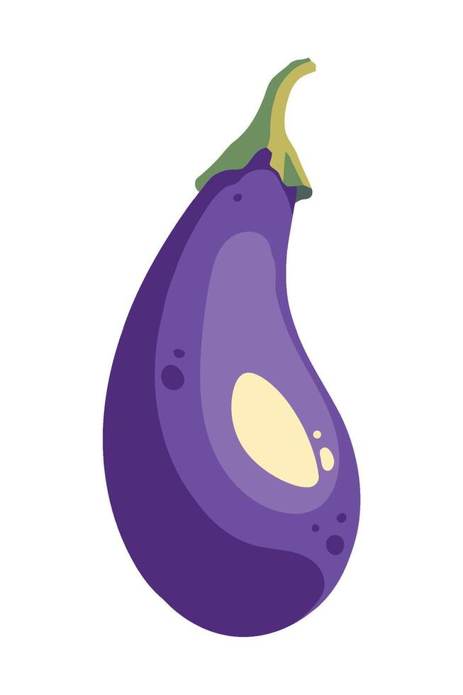 An eggplant is shown on a white background vector