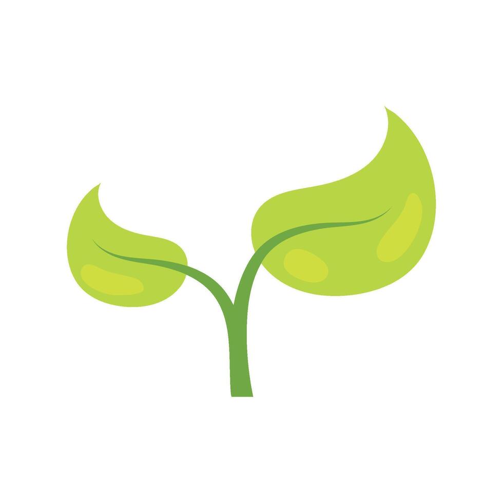 A green plant with leaves on it vector