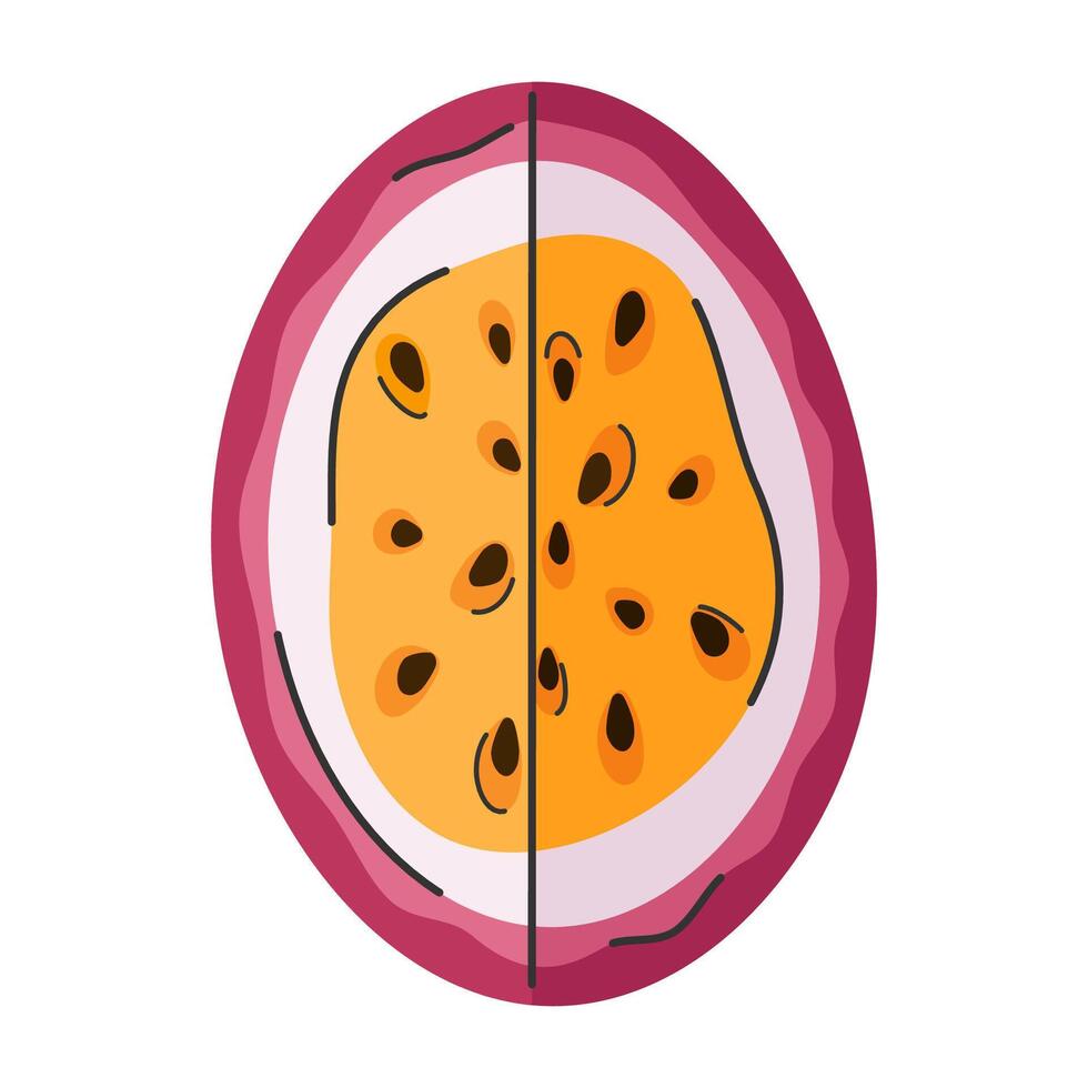 Quarter passion fruit in hand drawn style. Top view. Doodle fruit slice vector