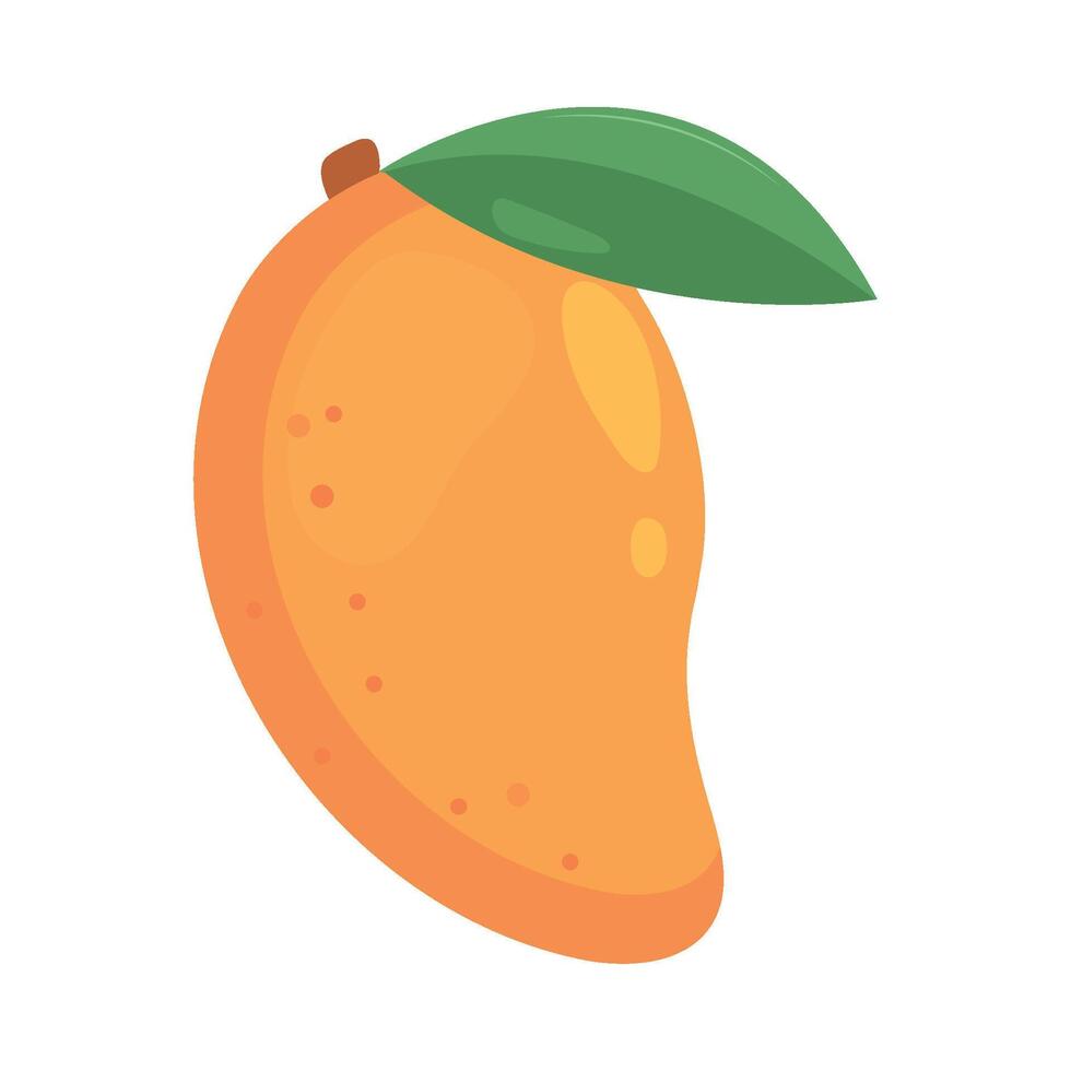 Mango fruit illustration vector