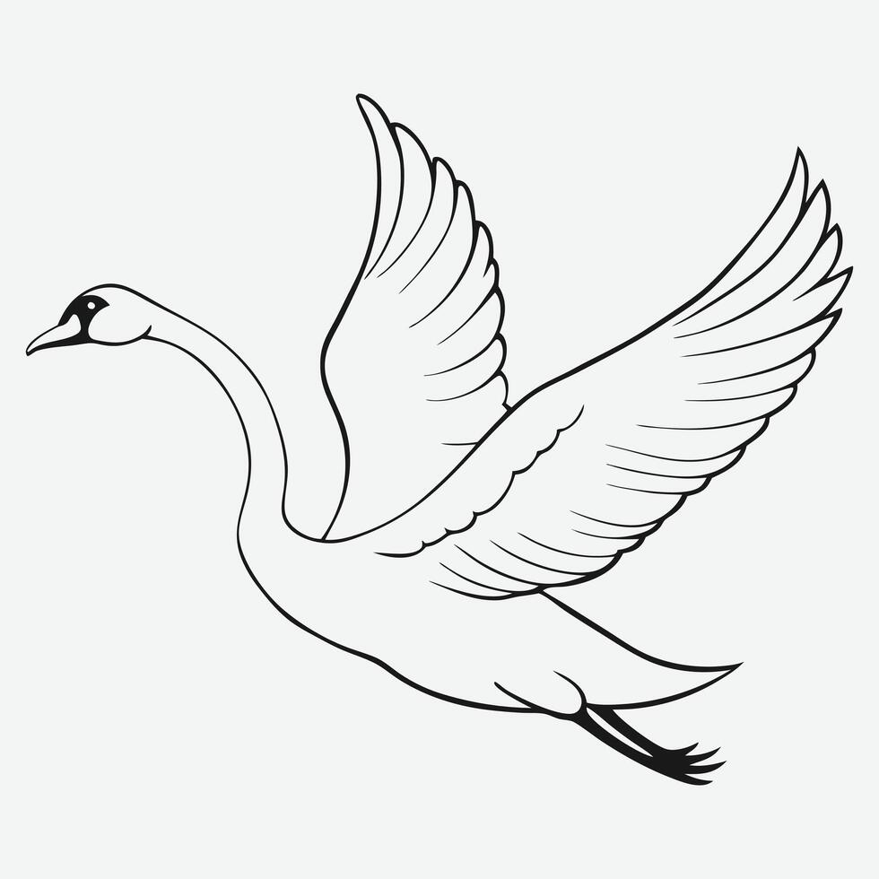 Graceful Black Swan in Flight Detailed Line Art Illustration vector