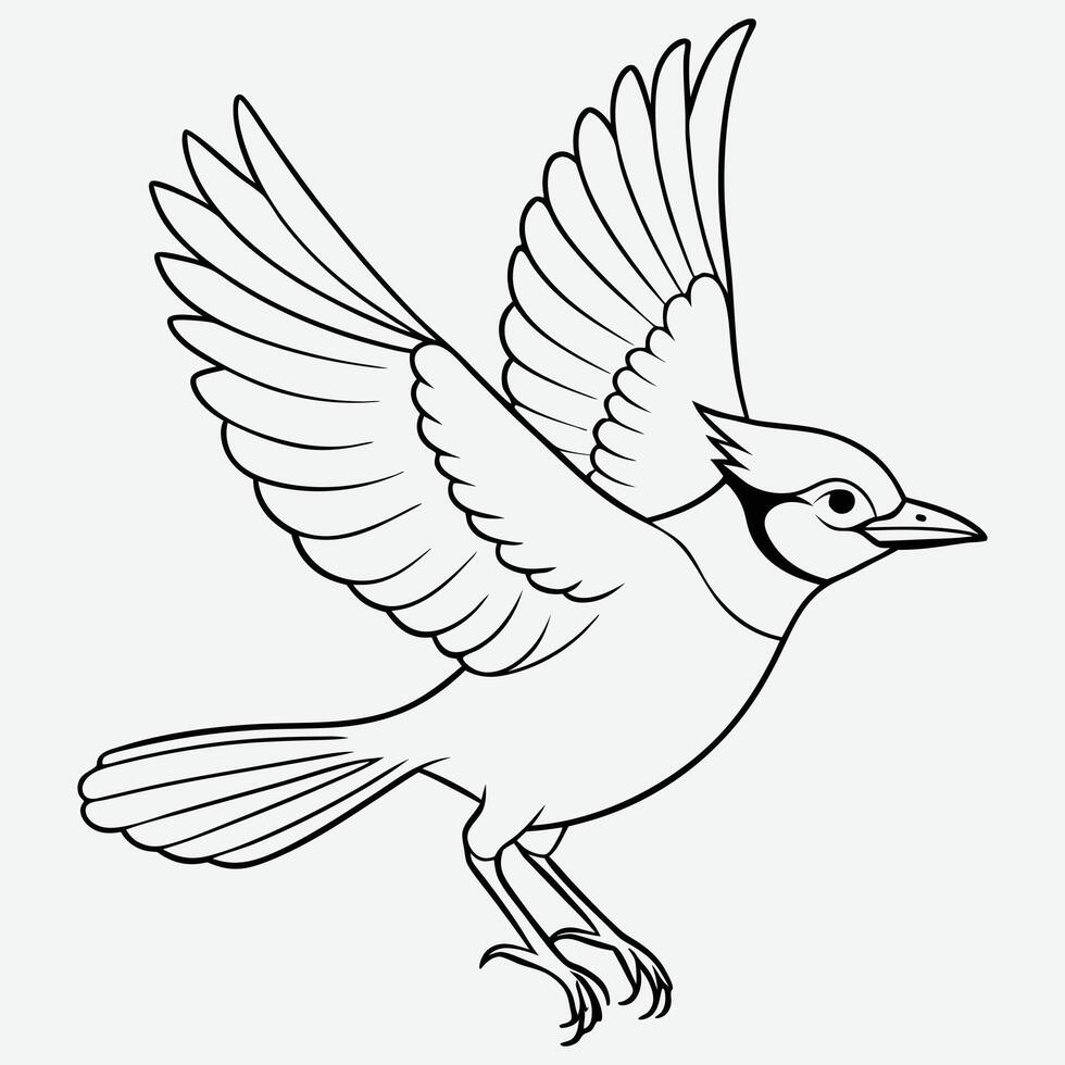 Elegant Blue Jay Bird in Flight - Detailed Line Art Illustration vector