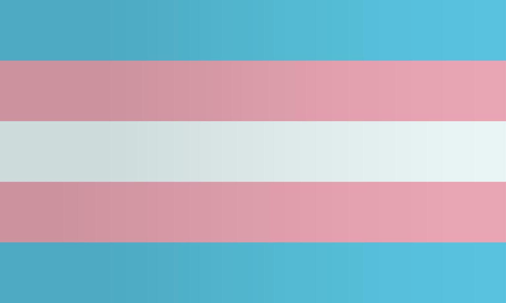 Transgender pride flag vector