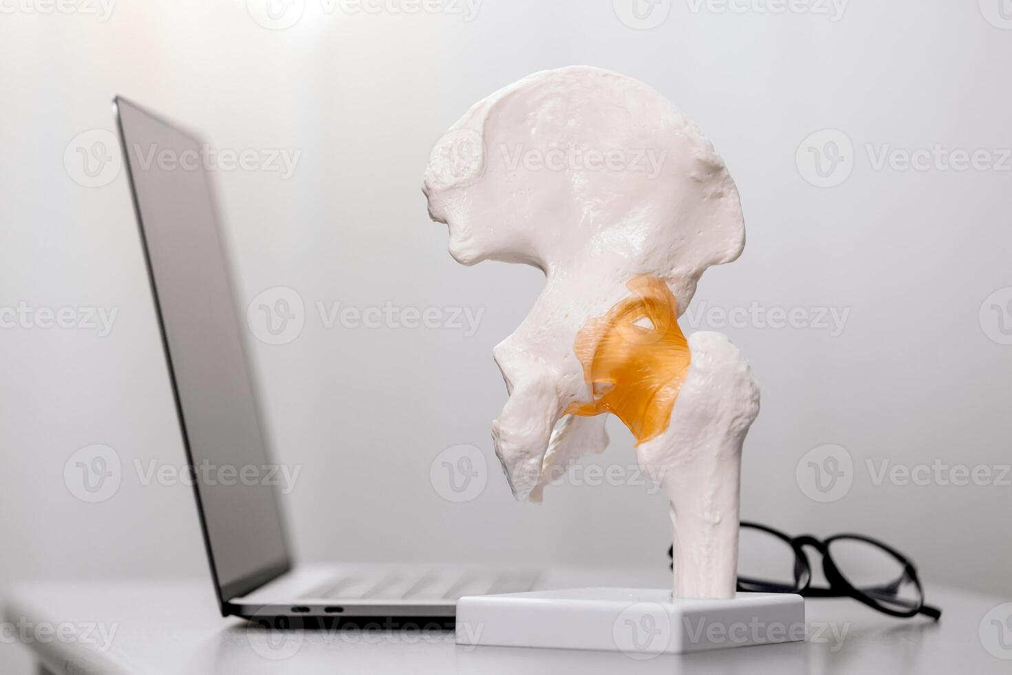 Close-up of a spine model on a physiotherapist's desk, alongside a laptop and glasses. Ideal for depicting spinal treatment procedures and orthopedic care in a modern medical environment photo