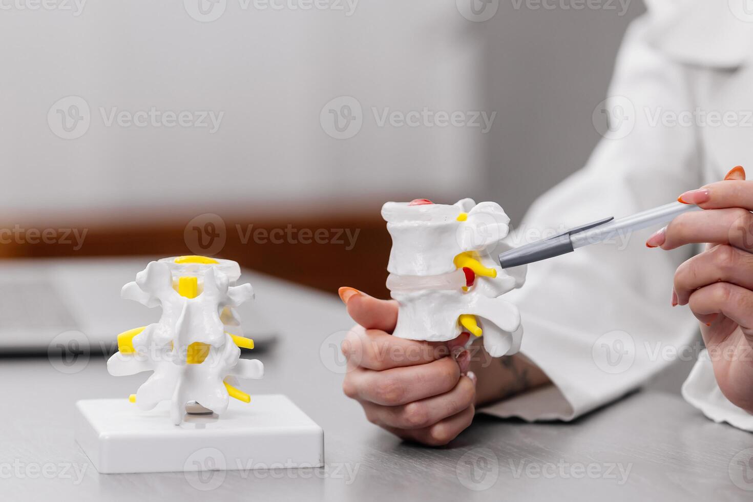 A female physiotherapist demonstrates a model of the human spine in a clinic, providing detailed explanations and consultations to a patient. Perfect for illustrating expert care and patient guidance photo