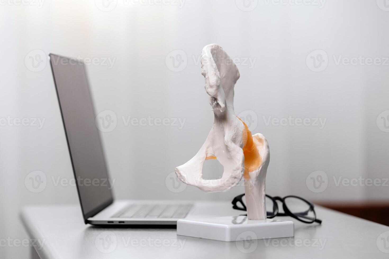 Close-up of a spine model on a physiotherapist's desk, alongside a laptop and glasses. Ideal for depicting spinal treatment procedures and orthopedic care in a modern medical environment photo