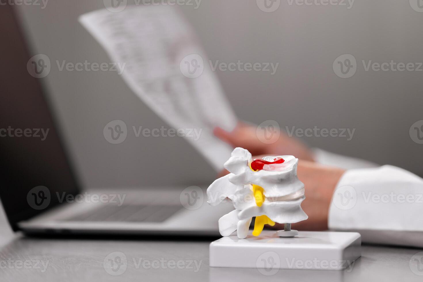Close-up of a doctor's hands handling a spine model during an anatomical demonstration. Ideal for showcasing medical education, healthcare expertise, and patient consultations photo