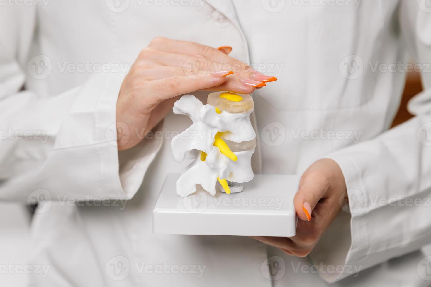 A female doctor in a white coat holds a spine model, emphasizing her expertise in spinal health and orthopedic care. Perfect for medical consultations and educational content photo