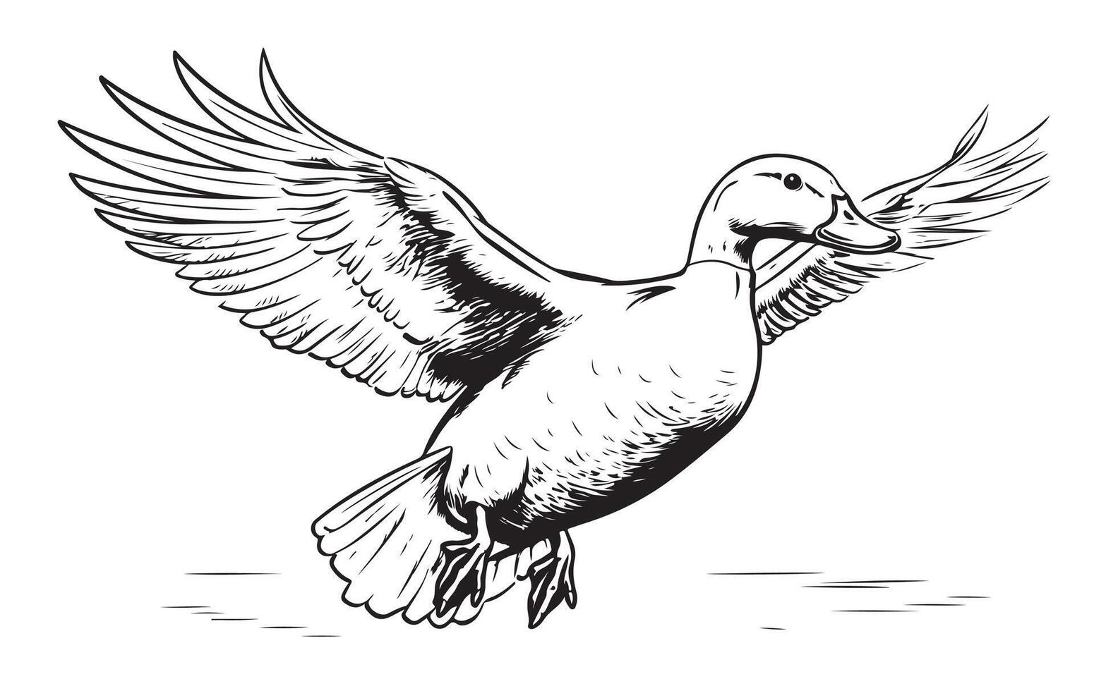 Duck flying sketch painted illustration Bird hunting vector
