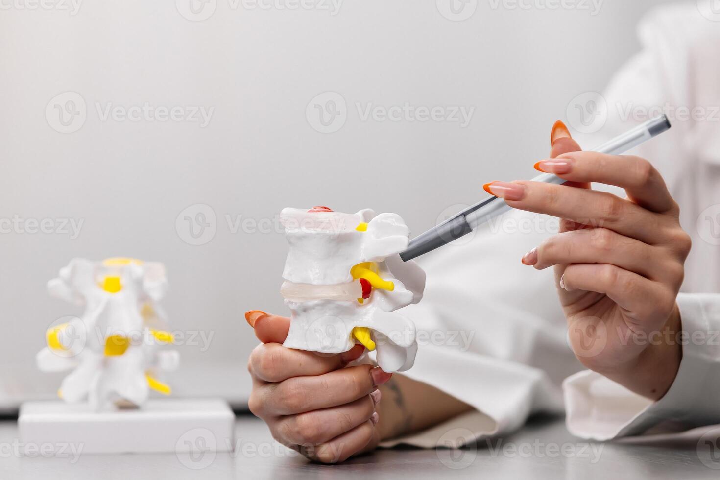 A female doctor in a white coat holds a spine model, emphasizing her expertise in spinal health and orthopedic care. Perfect for medical consultations and educational content photo