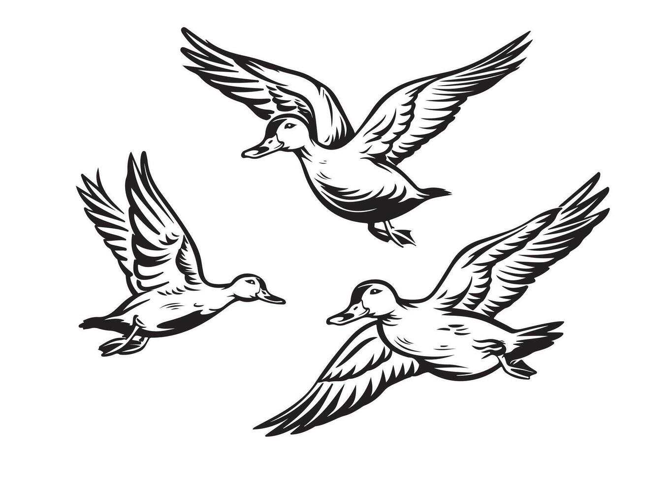 Duck mallard wild bird sketch icon. Drake duck flying symbol for wildlife fauna and zoology or hunting sport team trophy symbol and nature zoo adventure club design vector