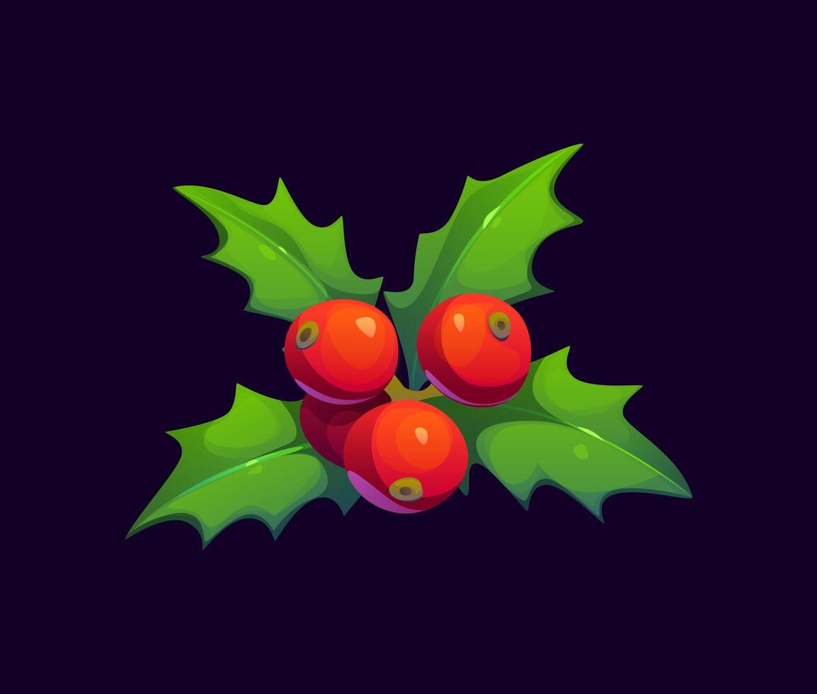 Cartoon Christmas holly berries and green leaves vector
