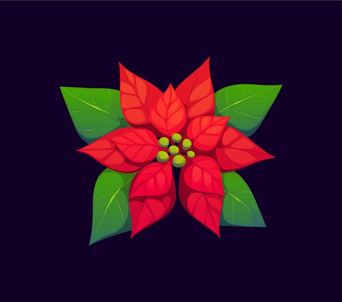 Cartoon Christmas holiday poinsettia flower plant vector