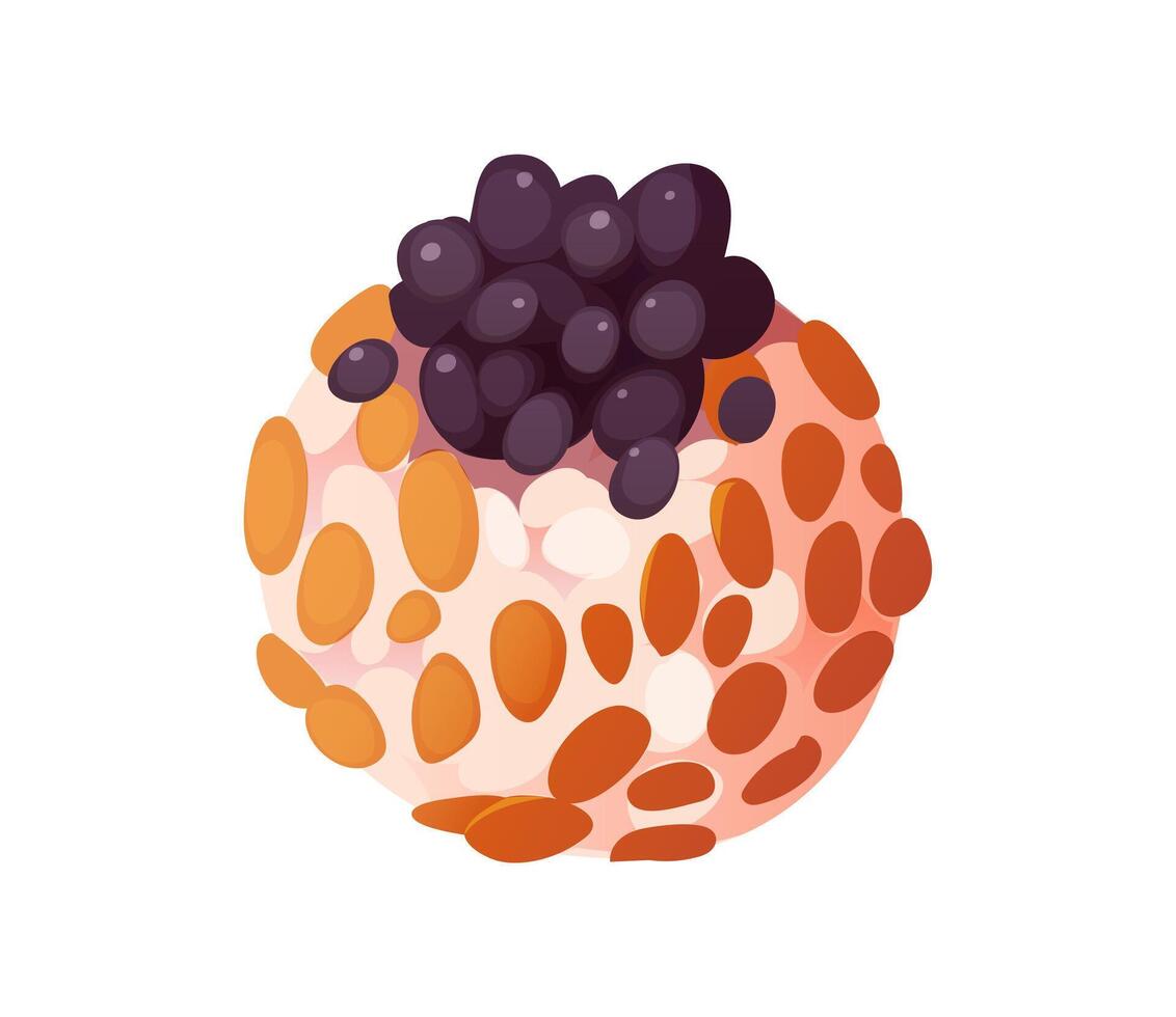 Cartoon temari Japanese sushi roll with black roe vector