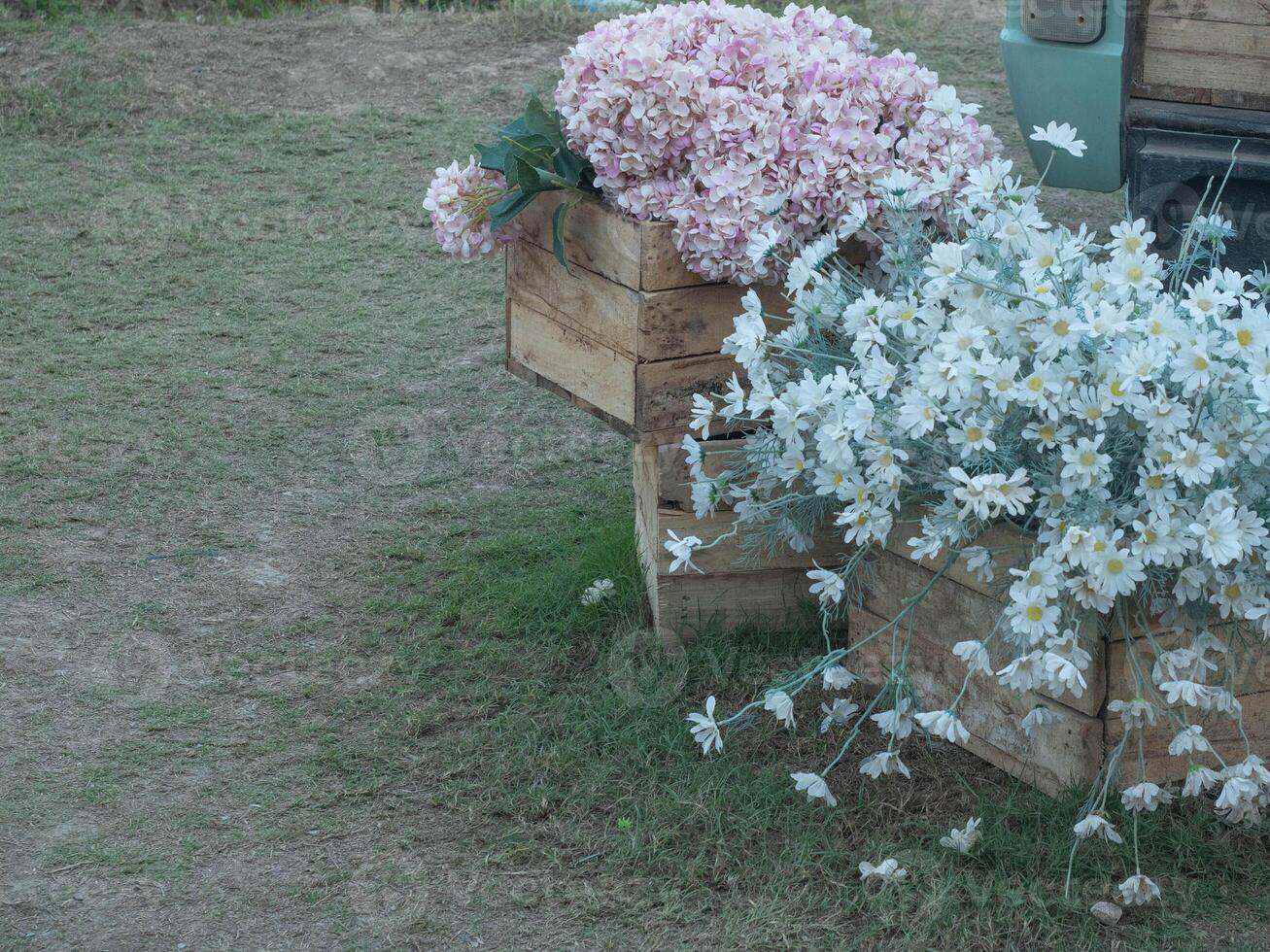 Flower flora garden green pink color nature plant summer outdoor blossom spring botany yard lawn meadow freshness copy space field fragility bright flower park hobby decoration formal leaf bush petal photo