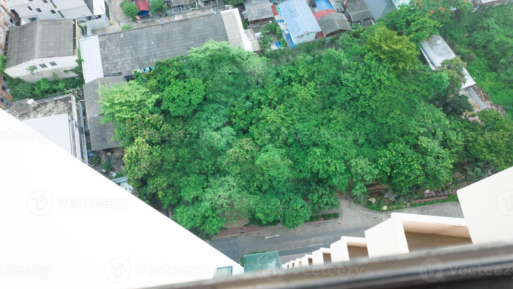 Nature environment plant outdoor top view leaf background tree summer forest growth freshness social issue ecology resource texture spring sustainable resource organic travel lifestyle flora park photo