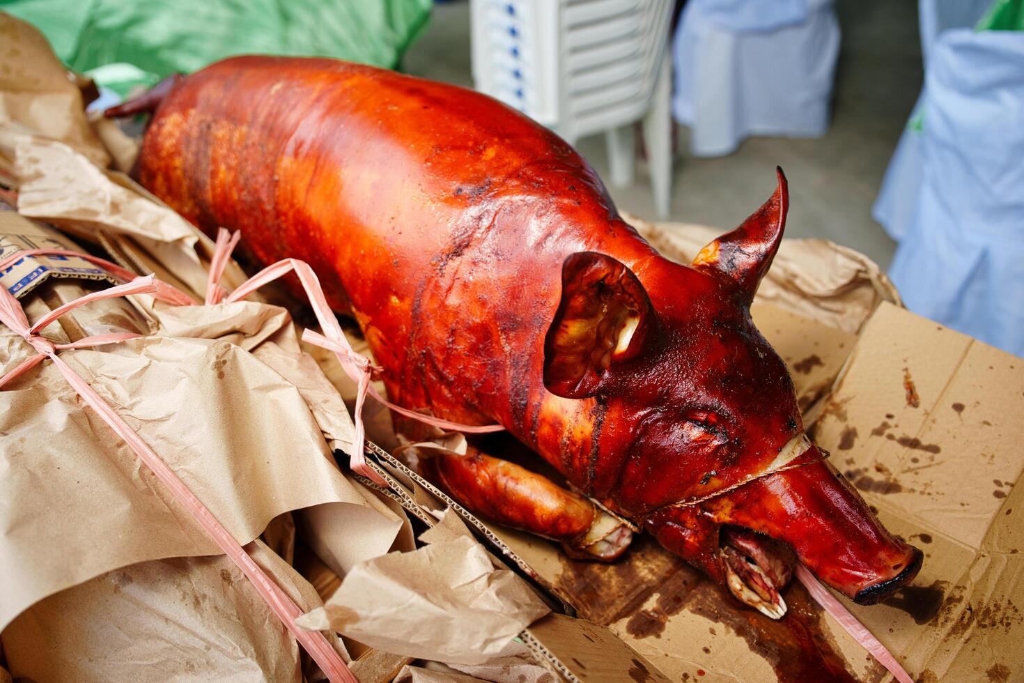 a pig is on a table with a knife photo