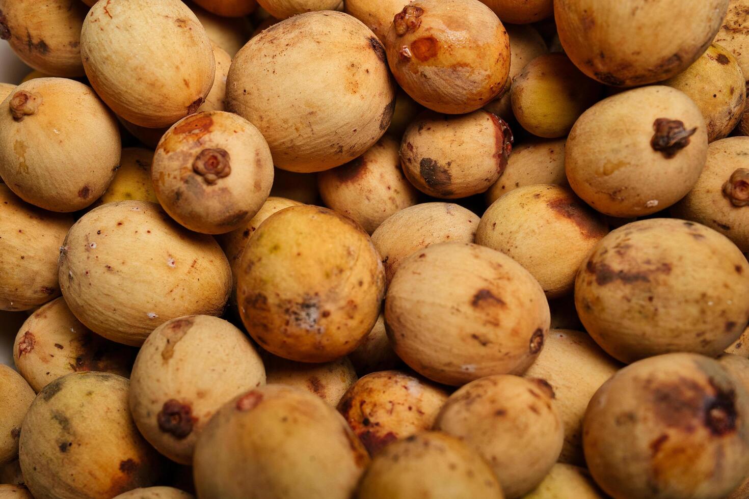 lanzones or longkong photo