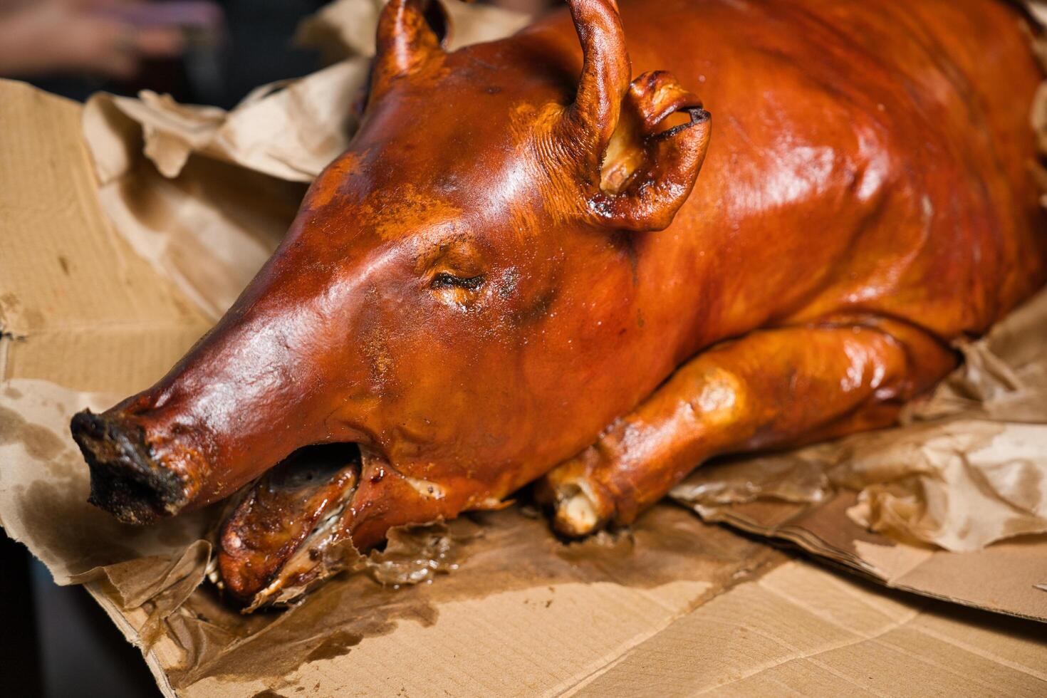a pig is sitting on a piece of paper photo