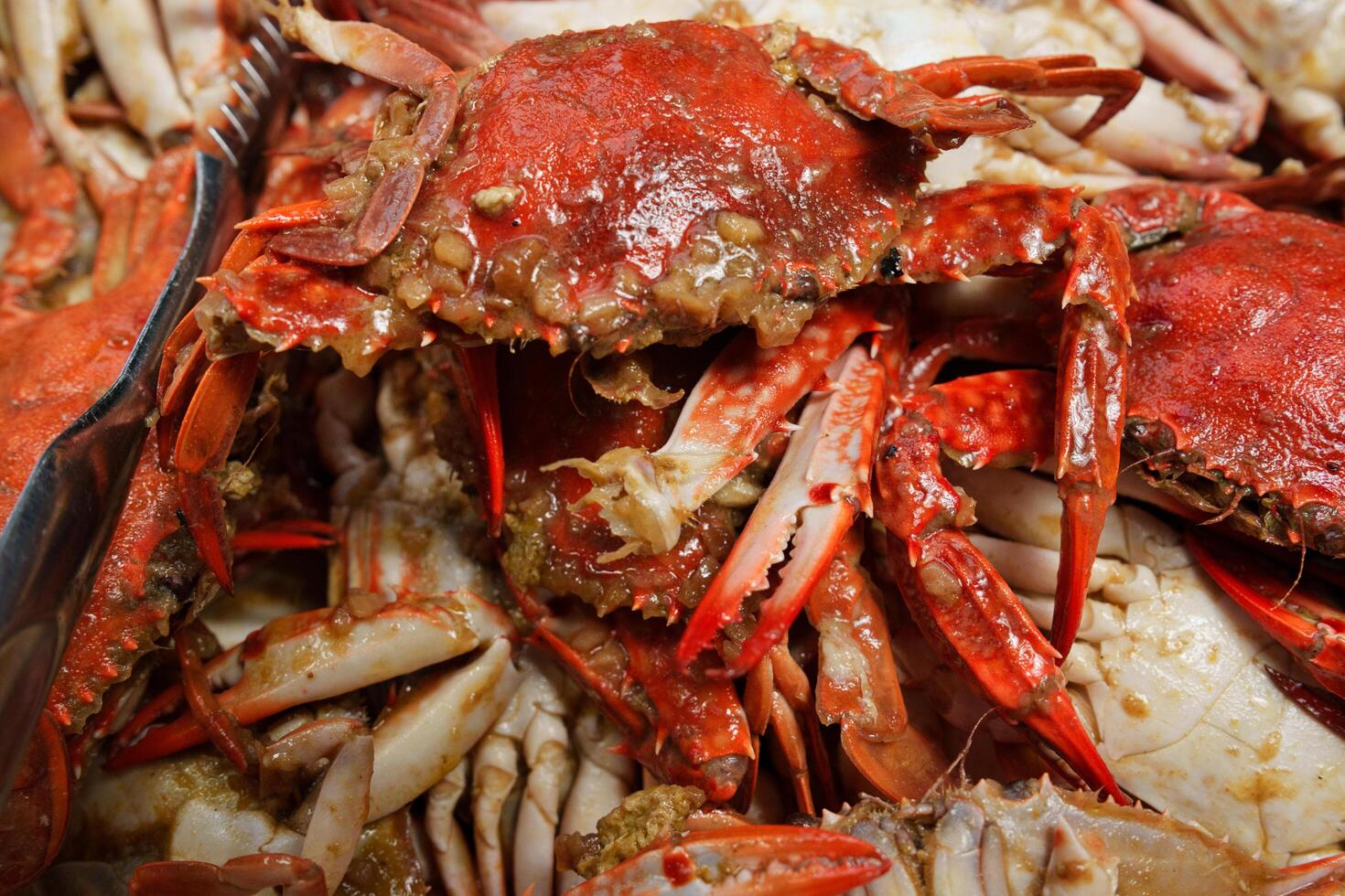 a bunch of crabs sitting on a plate photo