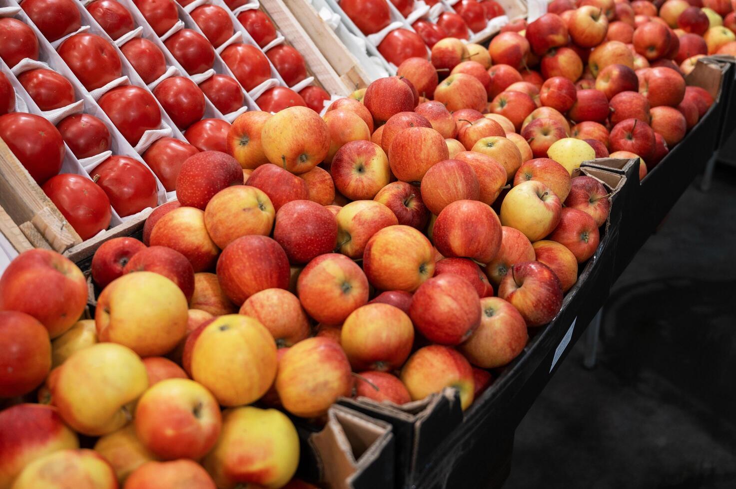 Assortment of fresh fruits photo