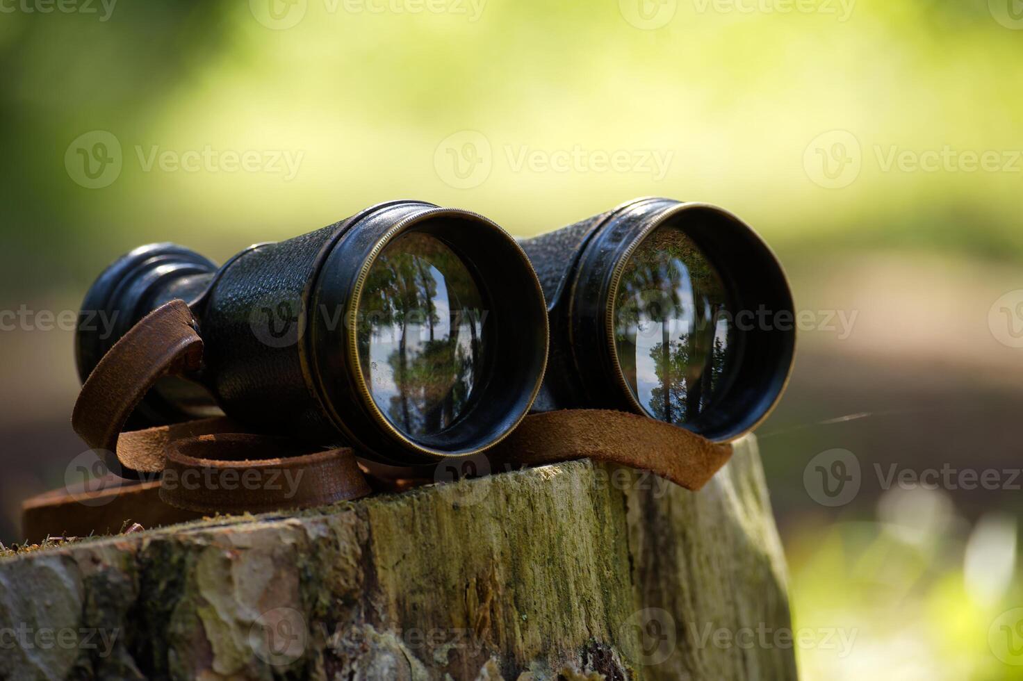 Vintage binoculars resting on mossy tree stump in forest setting photo