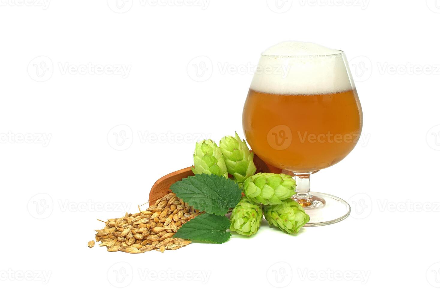 Glass of craft beer paired with fresh hops and barley isolated on white background photo