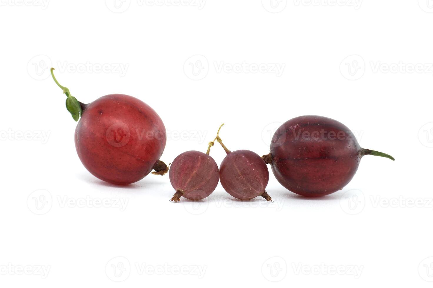 Close-up of fresh gooseberries isolated on white background photo