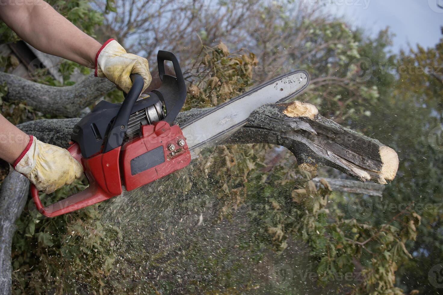 Person using a chainsaw to cut a log photo