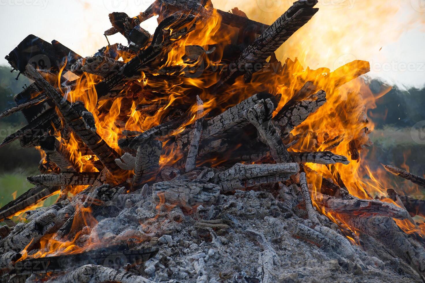 bonfire with burning wood, showcasing intense flames and charred logs in an outdoor environment photo