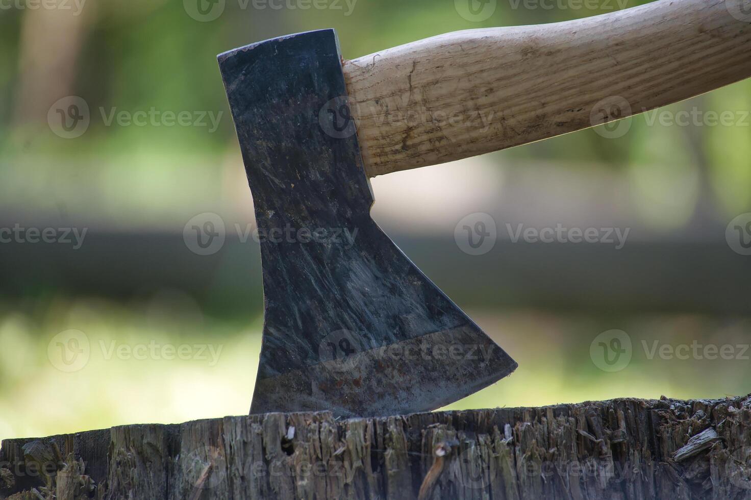 Close-up of an axe embedded in a tree stump beside nature and the outdoors photo