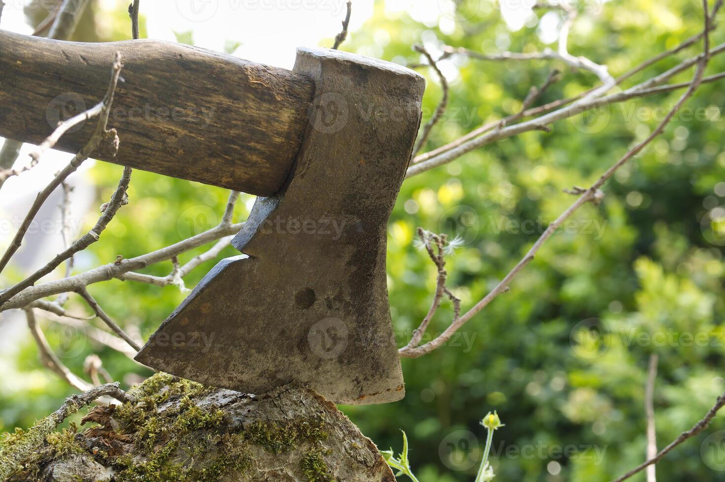 Close-up view of an axe lodged in wood, encircled by lush green grass photo