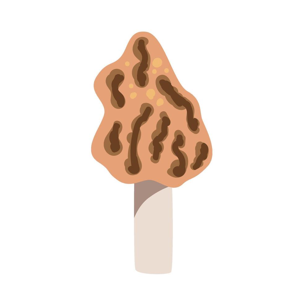 Mushroom Handdrawn Morel vector