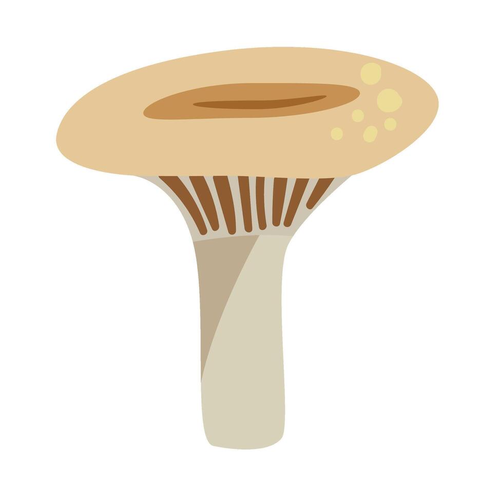 Mushroom Handdrawn Lactarius vector