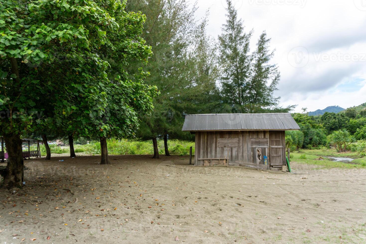 wooden house near the beach surrounded by trees photo