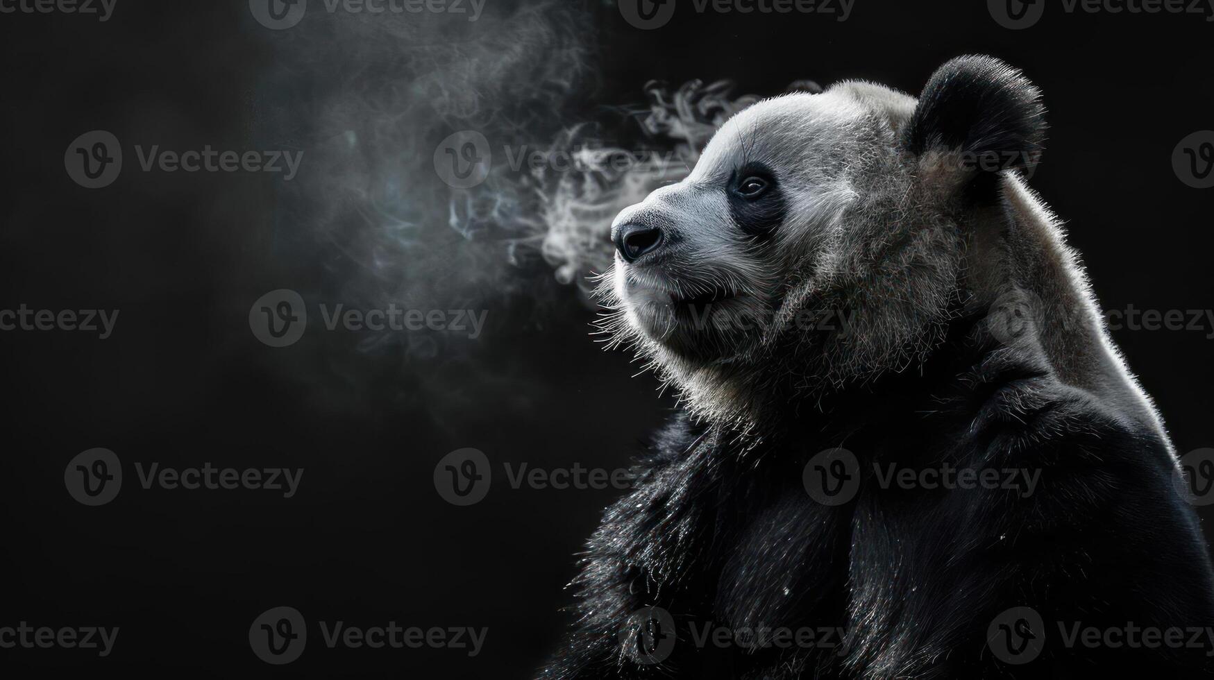 A panda bear is captured in the act of smoking a cigarette. photo
