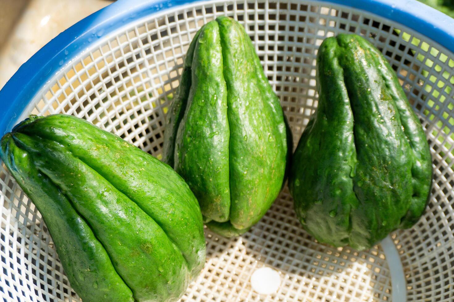 closeup photo of chayote on a transparent background