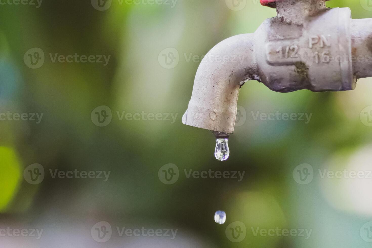 Close-up of a Dripping Water Faucet with Blurred Green Background in Natural Light photo