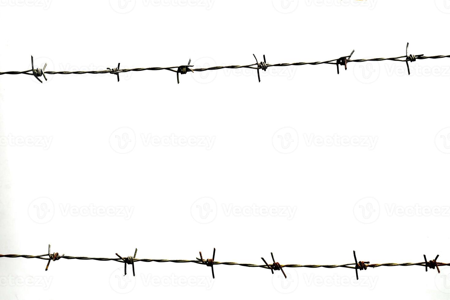 Close-Up of Barbed Wire Against White Background Highlighting Sharp Metal Spikes and Minimalist Design photo