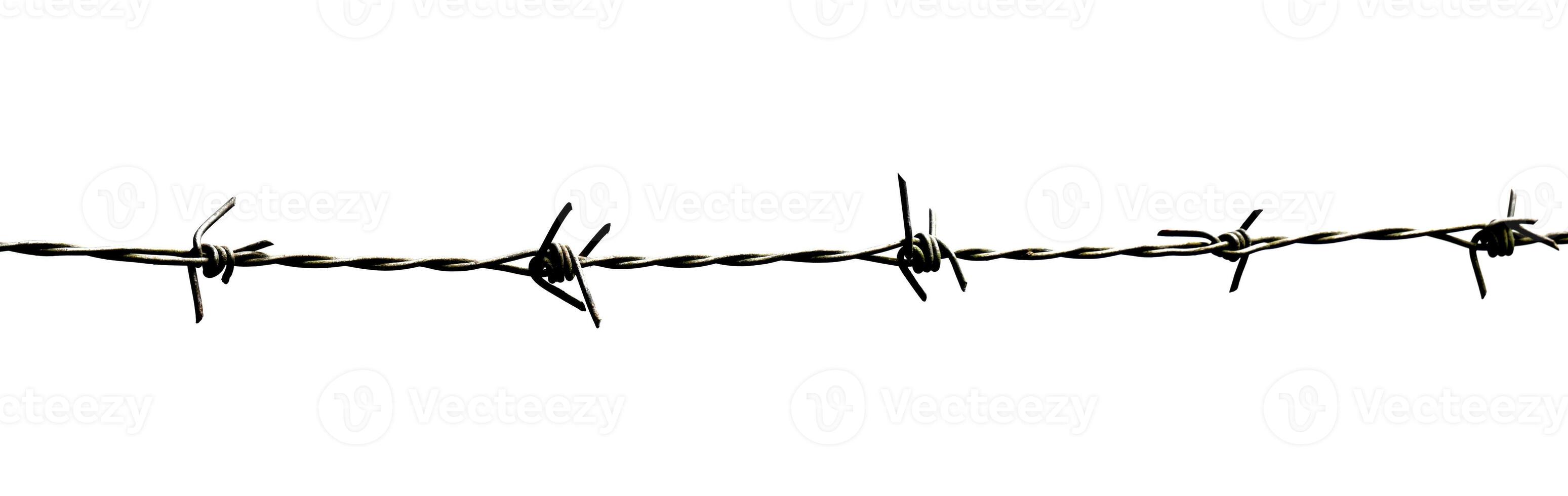 Close-Up of Barbed Wire Isolated on White Background for Security and Protection Concepts photo