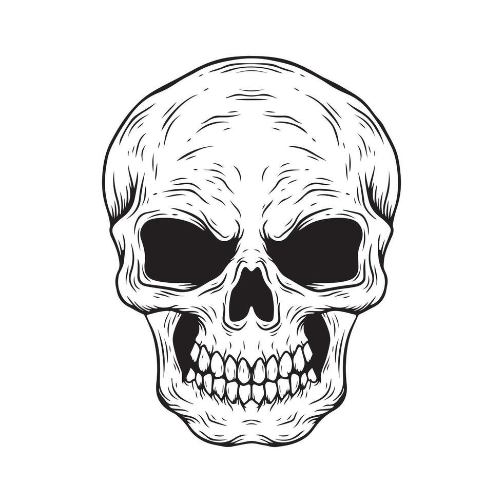 Skull in monochrome style isolated on white background. illustration. vector
