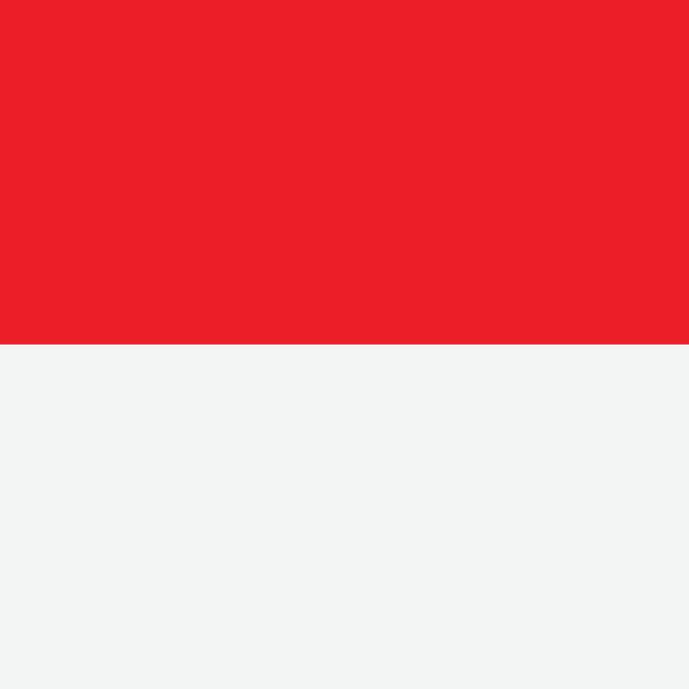 flag of Indonesia illustration. vector