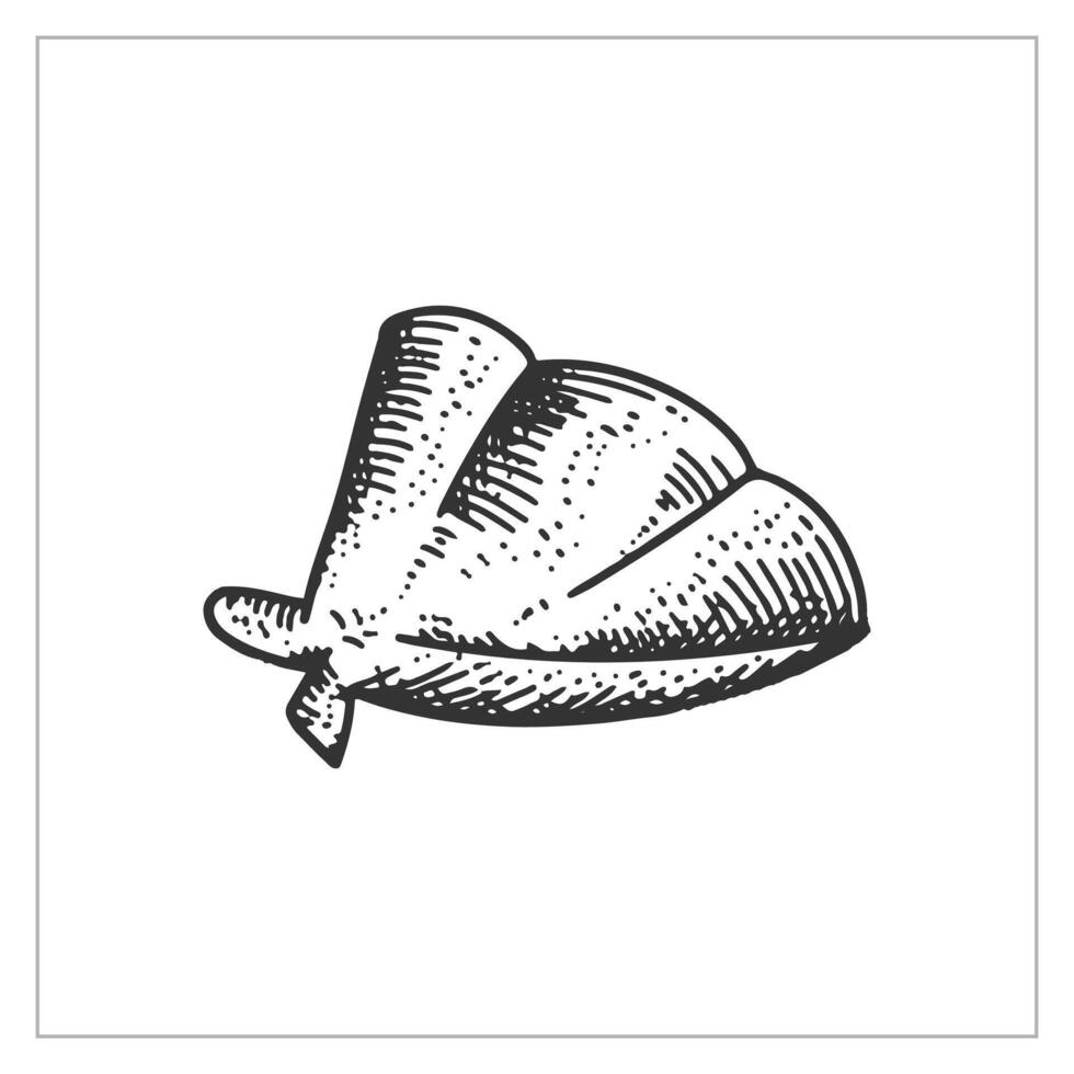 Shells hand drawn. Vintage engraving style illustration isolated background. vector