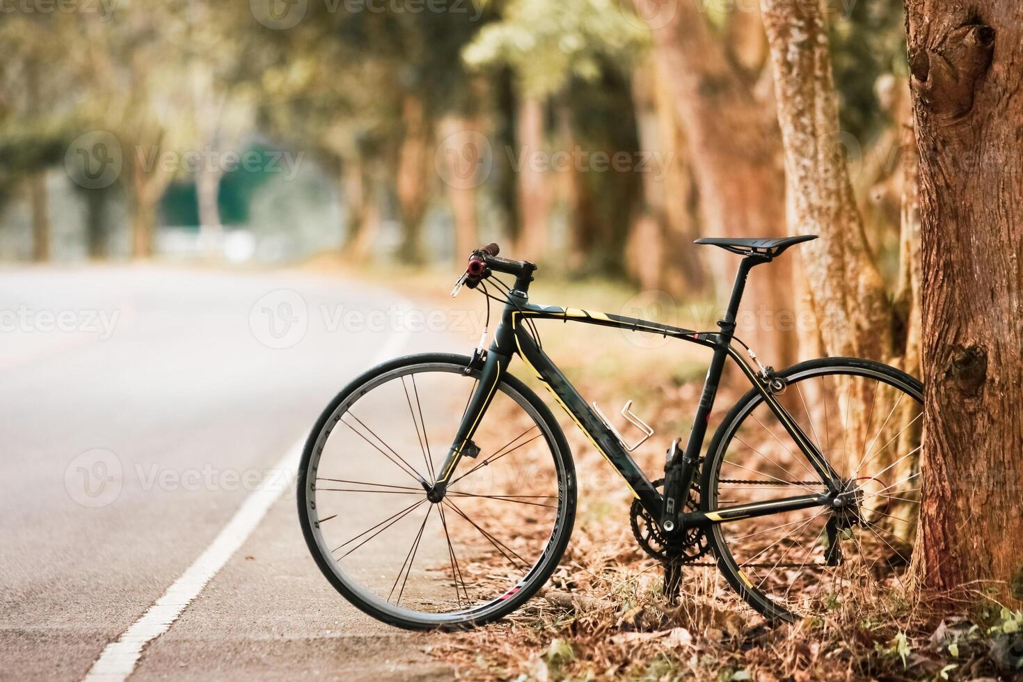 Road Bike Parked on a Scenic Forest Path with Trees and Soft Natural Light photo